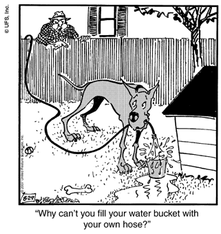 marmaduke